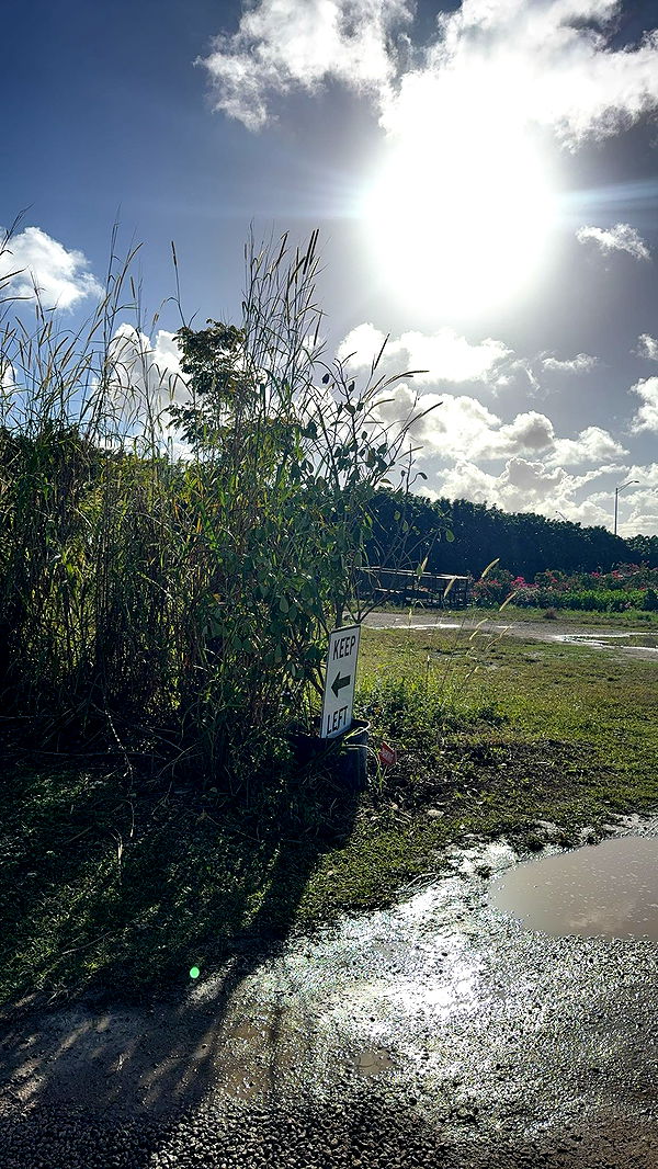 kaygcarlson image ~ Altpins