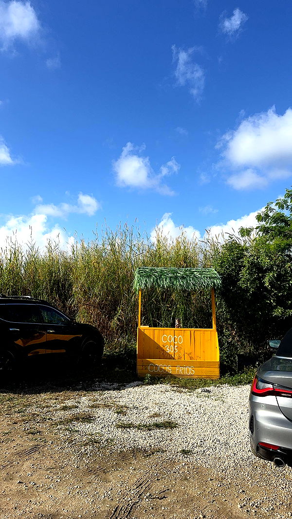 kaygcarlson image ~ Altpins