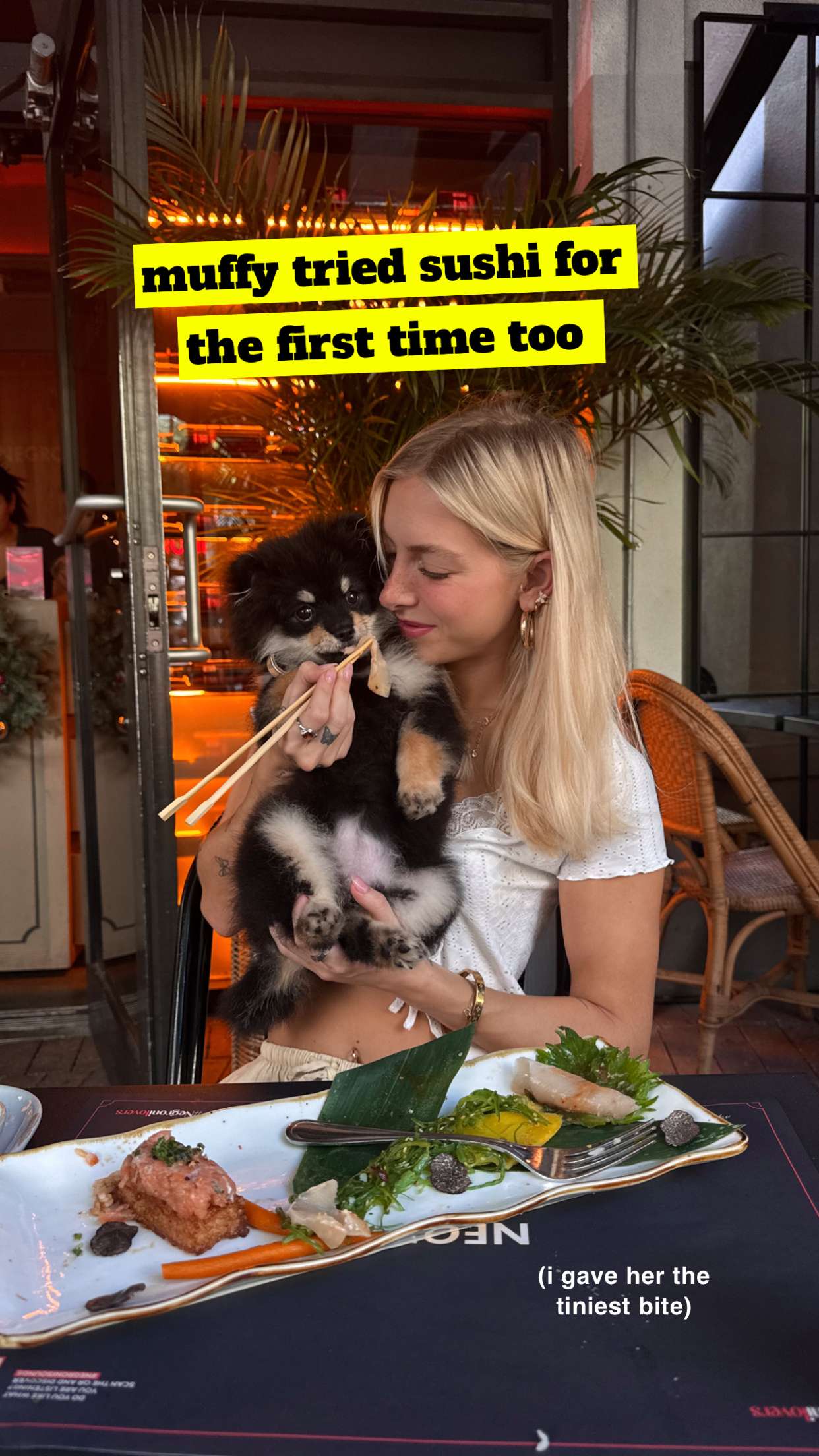 kaygcarlson snapchat image archive image