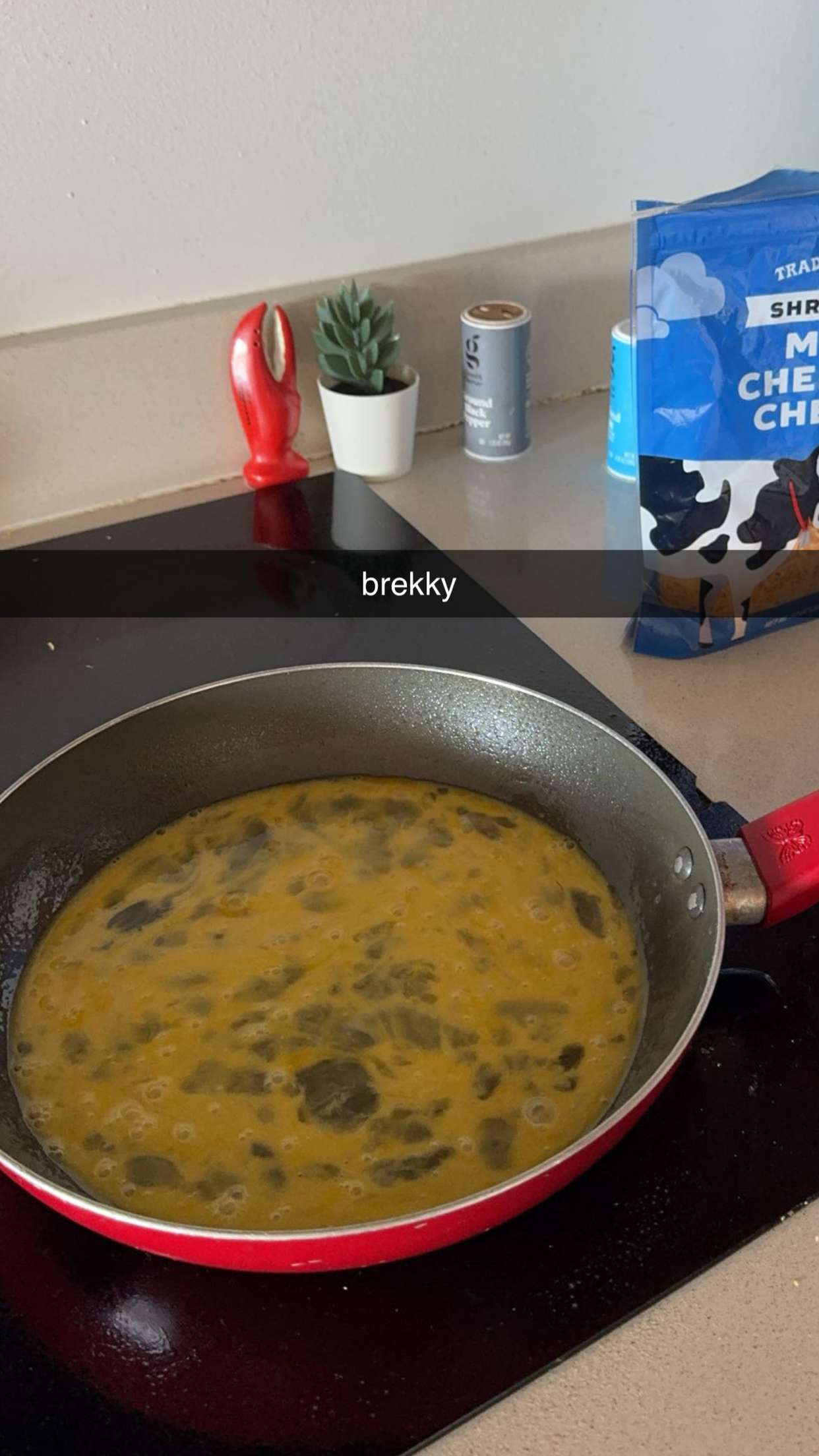 kaygcarlson snapchat image archive image