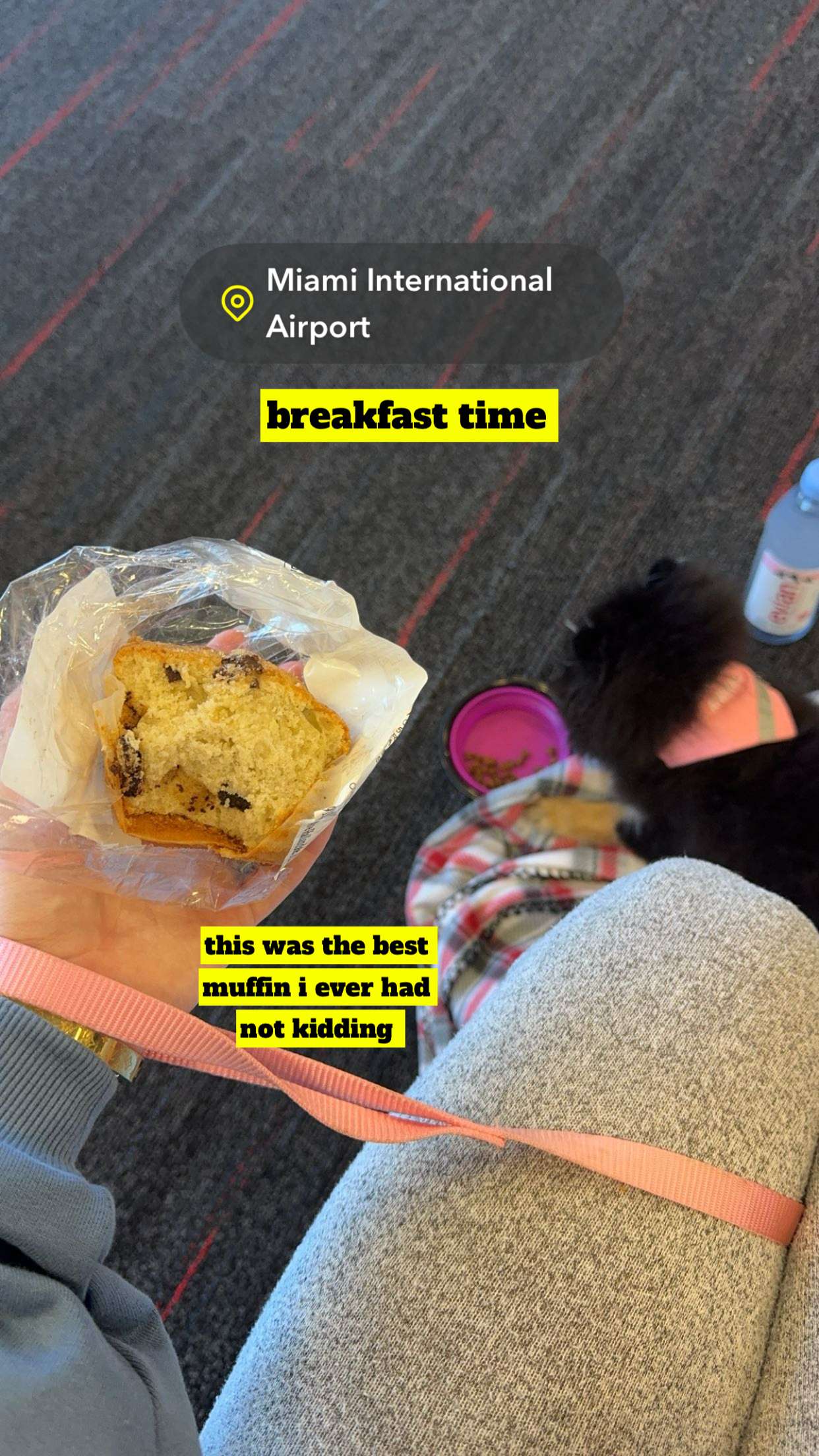 kaygcarlson snapchat image archive image