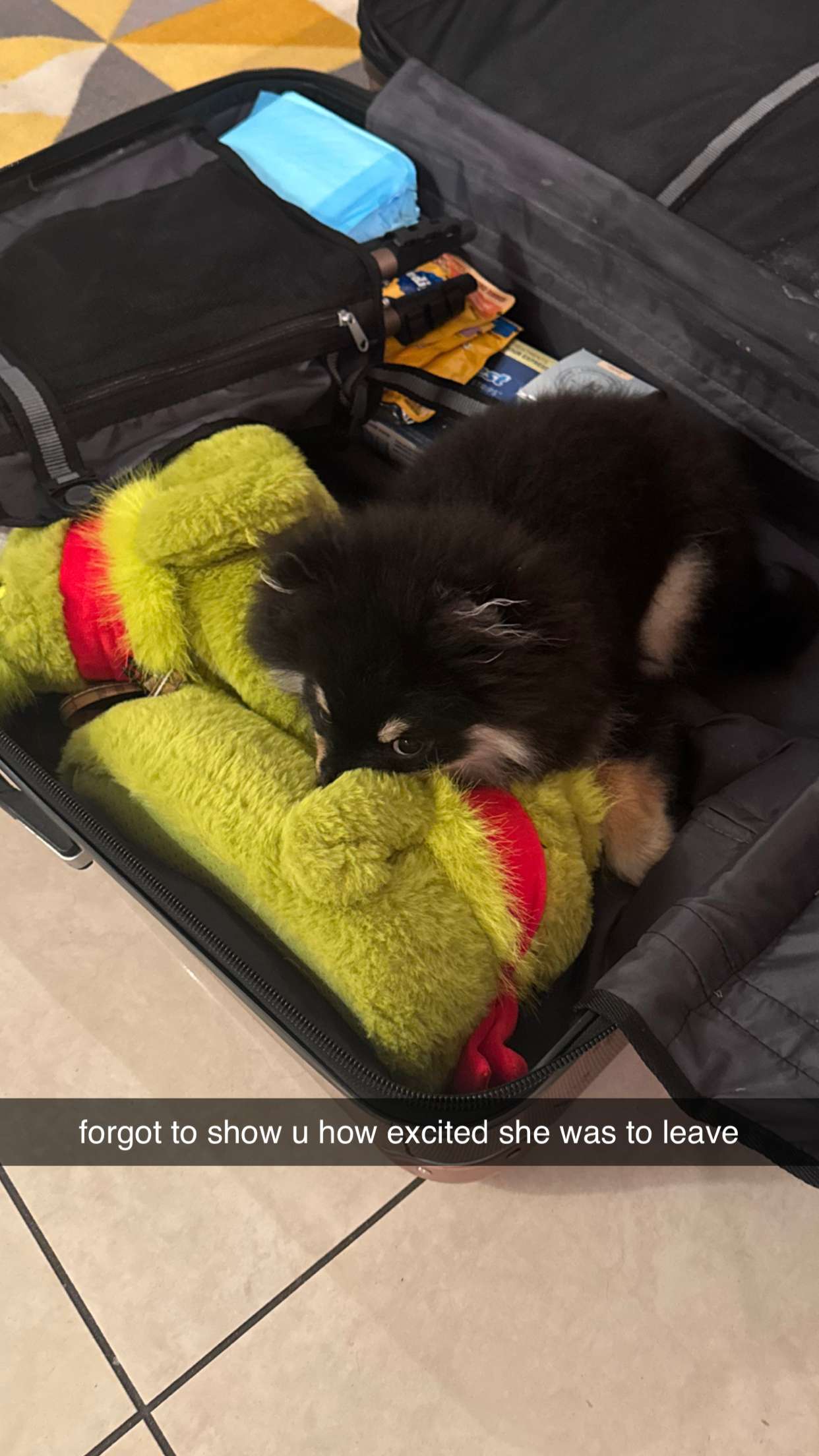 kaygcarlson snapchat image archive image