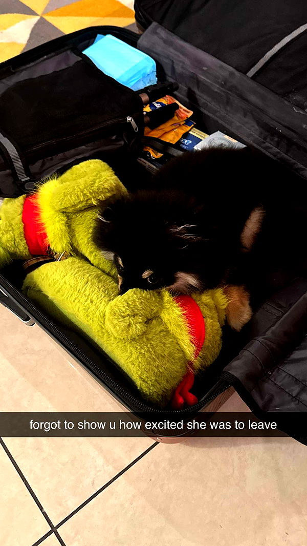 kaygcarlson image ~ Altpins