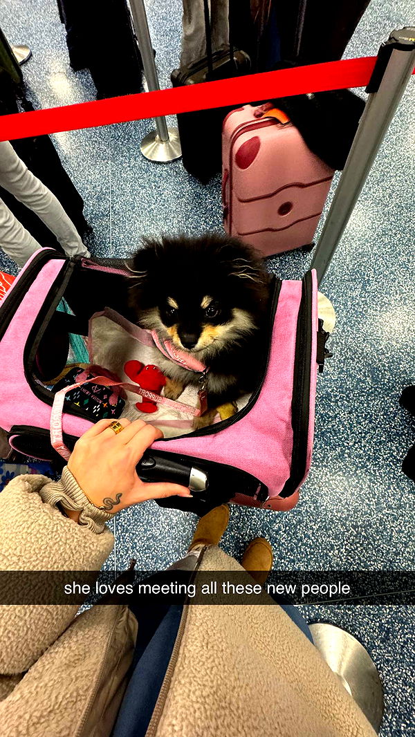 kaygcarlson image ~ Altpins