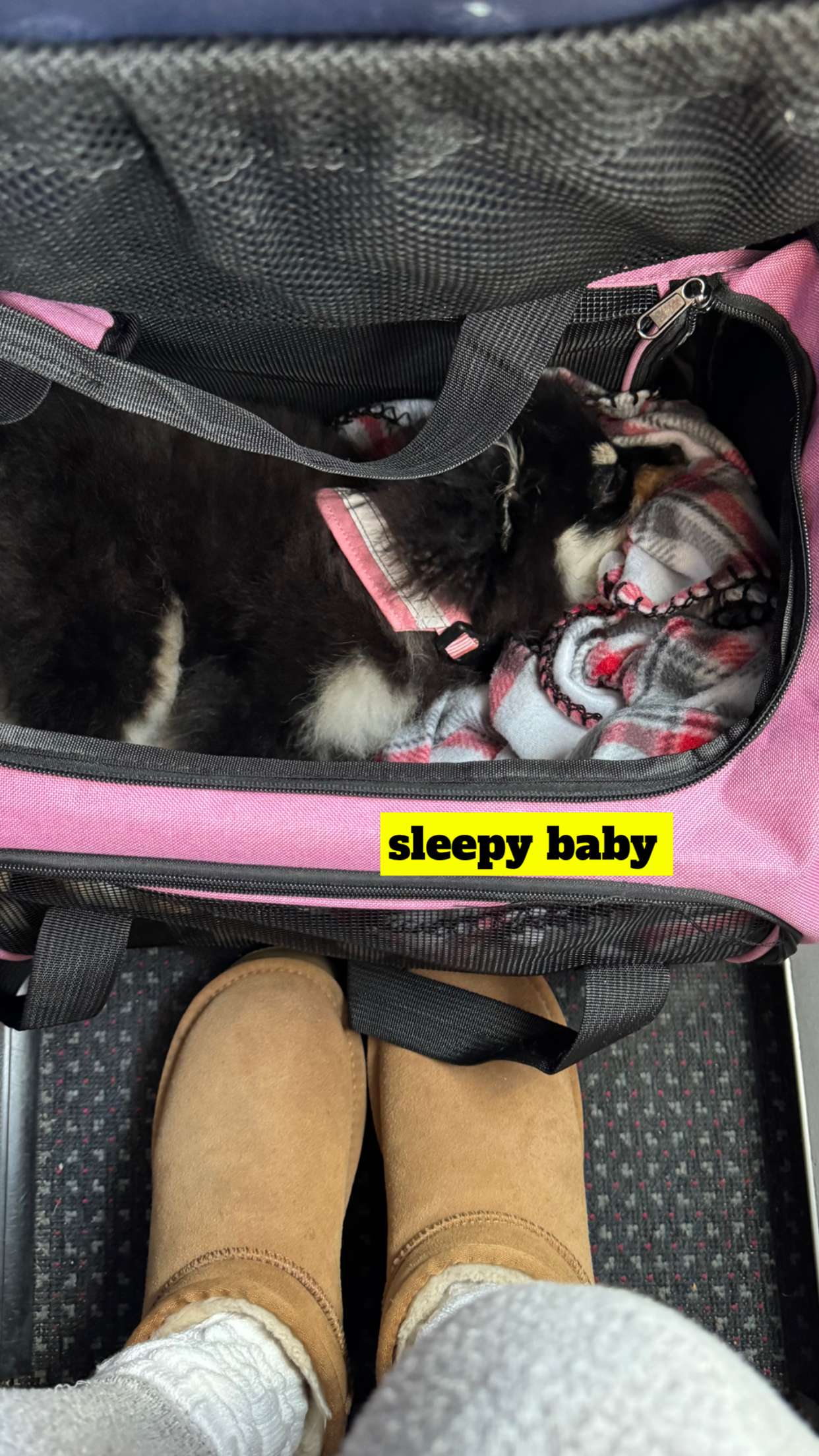 kaygcarlson snapchat image archive image