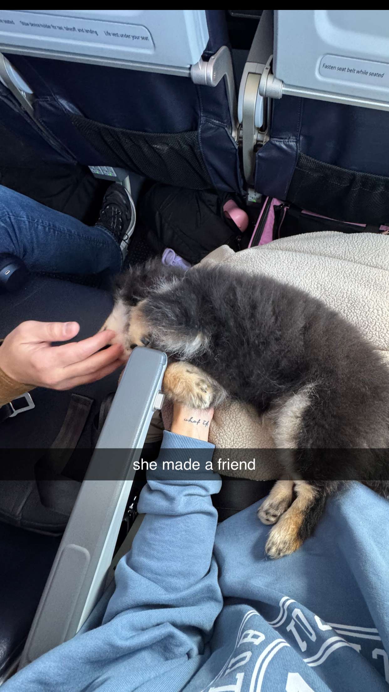 kaygcarlson snapchat image archive image