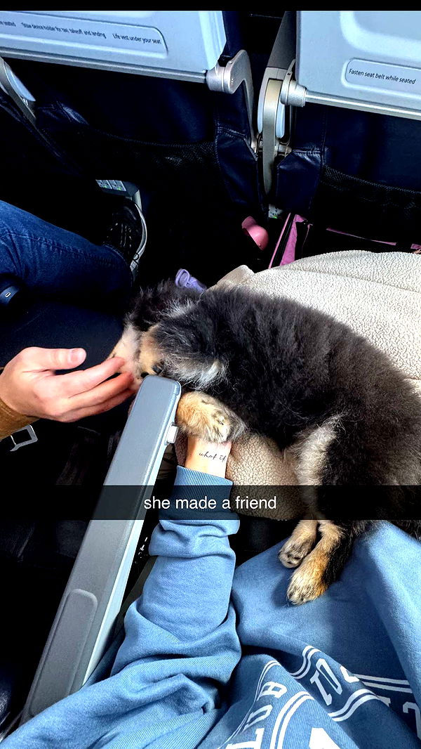 kaygcarlson image ~ Altpins