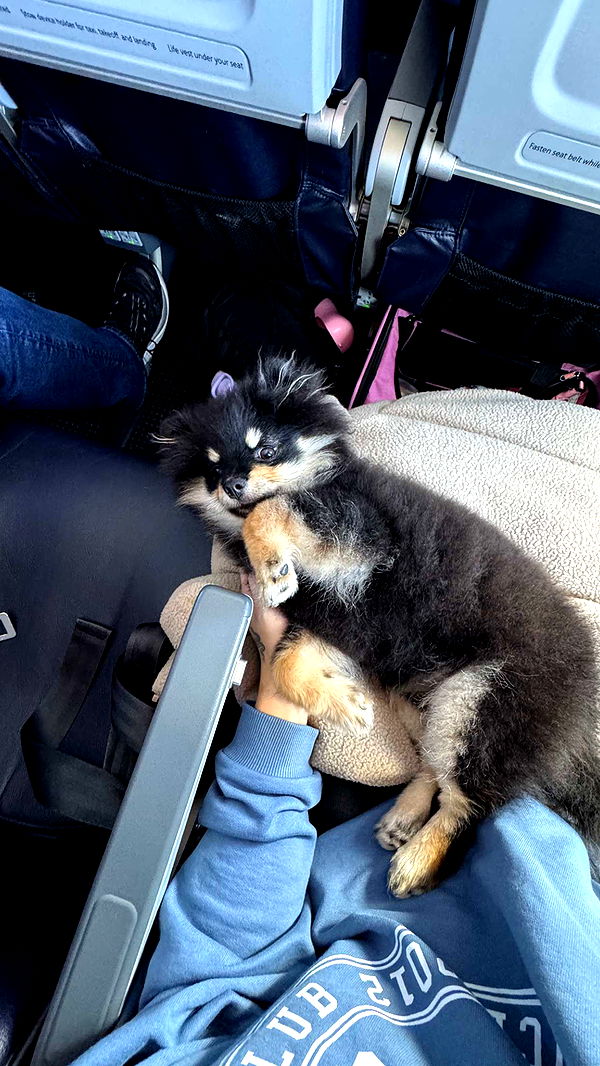 kaygcarlson image ~ Altpins