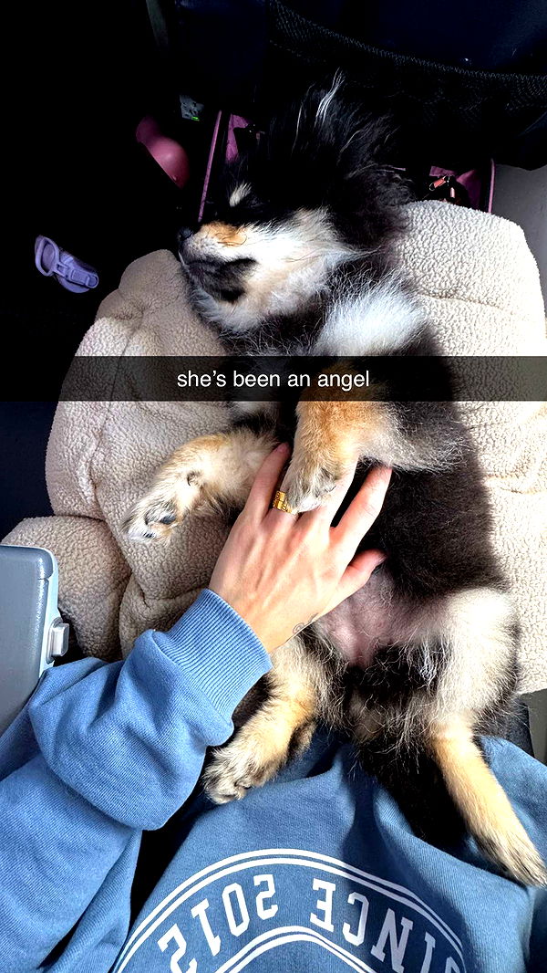 kaygcarlson image ~ Altpins