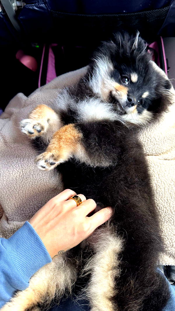 kaygcarlson image ~ Altpins