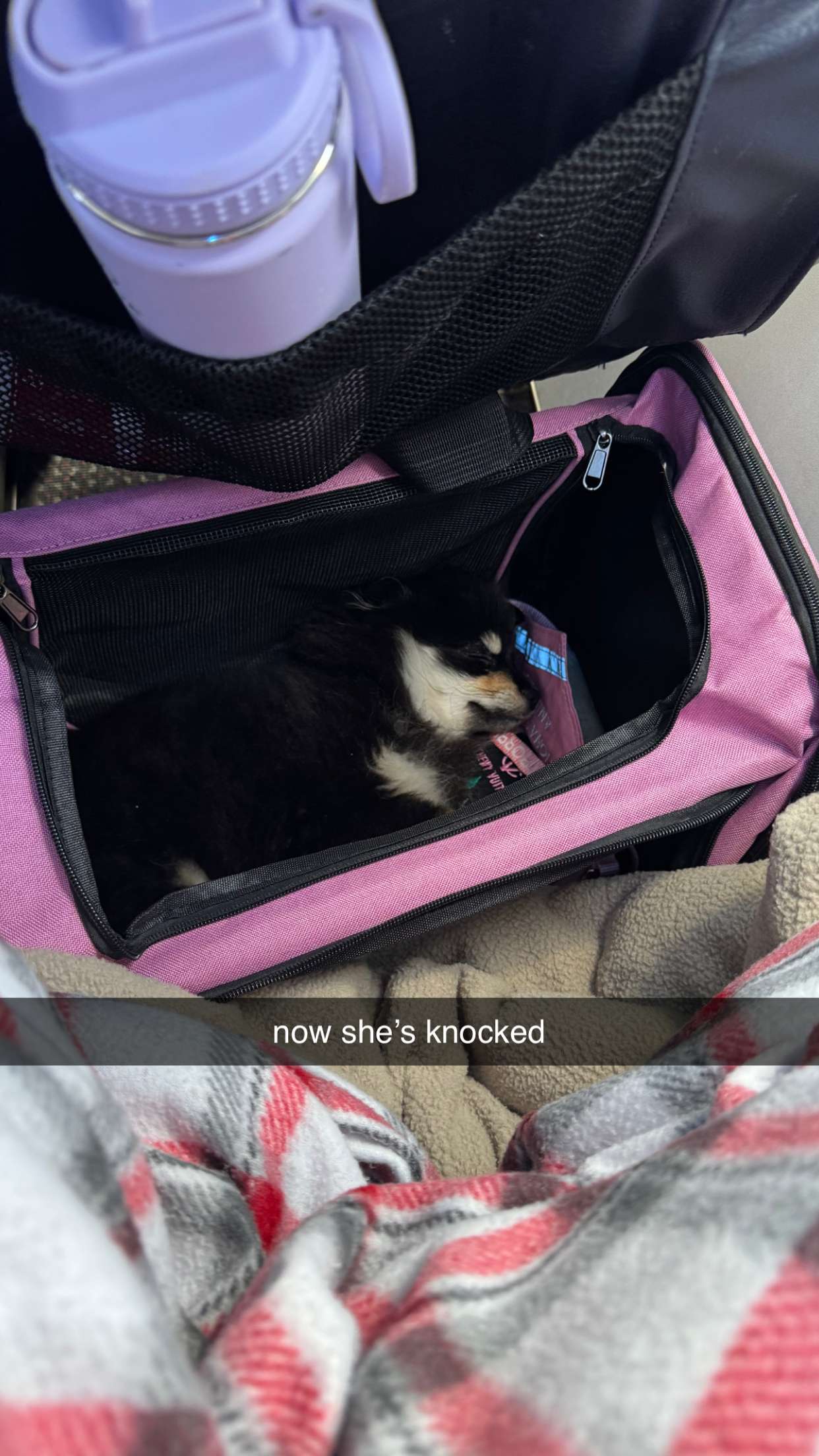 kaygcarlson snapchat image archive image