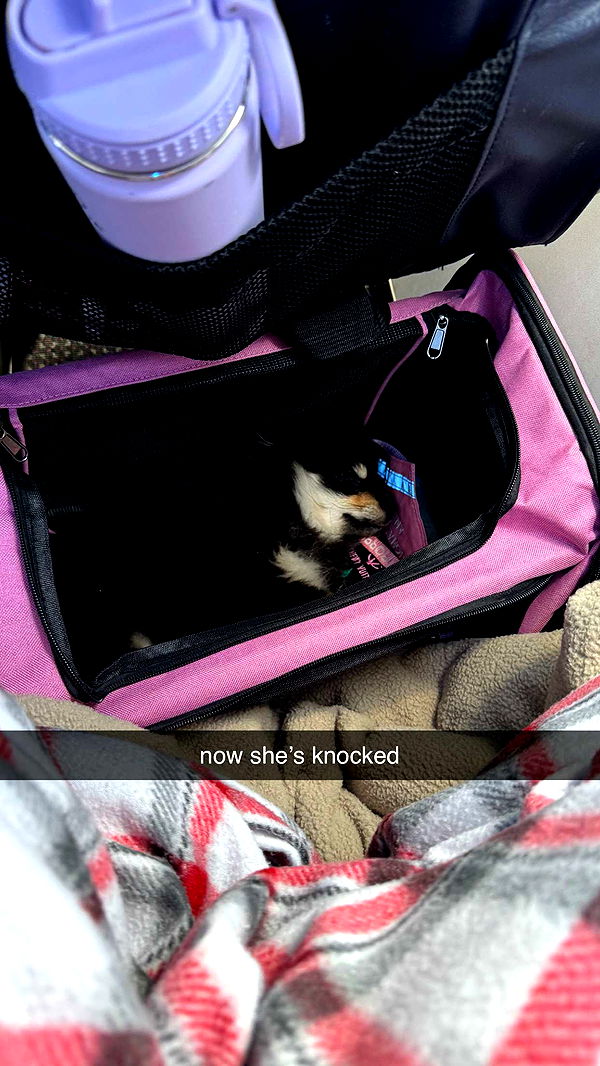 kaygcarlson image ~ Altpins