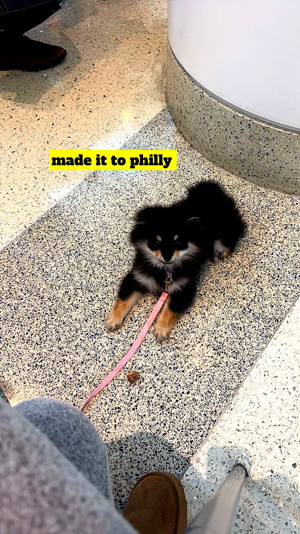 kaygcarlson image ~ Altpins