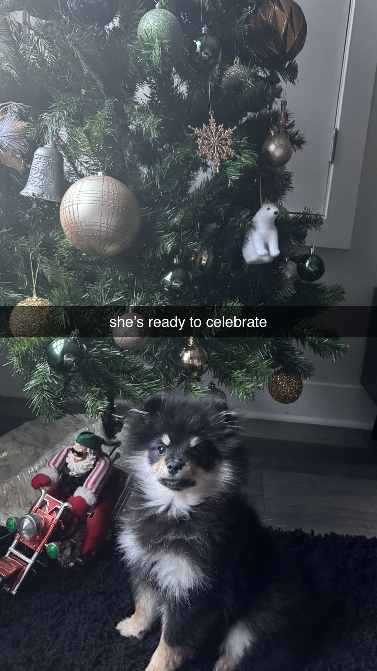 kaygcarlson snapchat image archive image