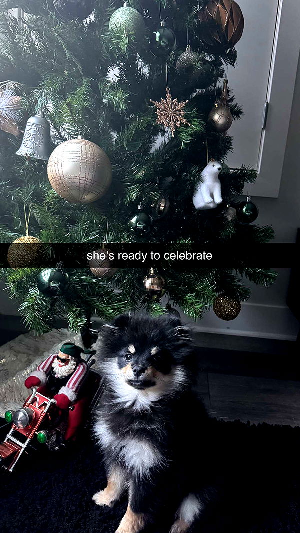 kaygcarlson image ~ Altpins