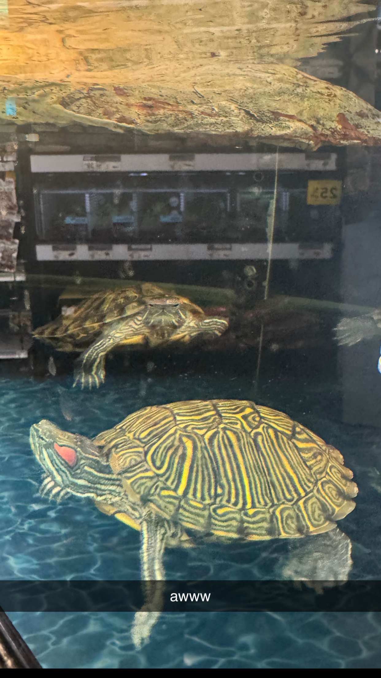 kaygcarlson snapchat image archive image