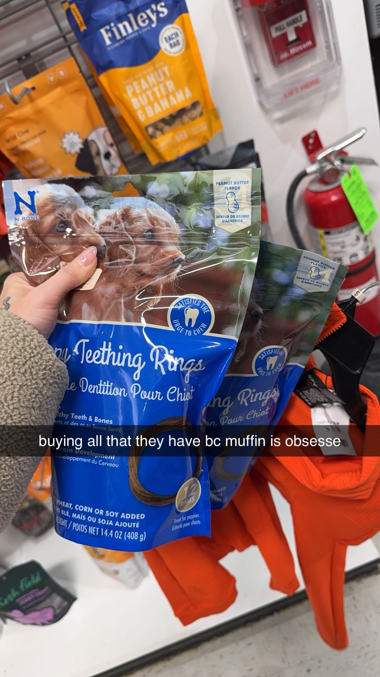 kaygcarlson snapchat image archive image