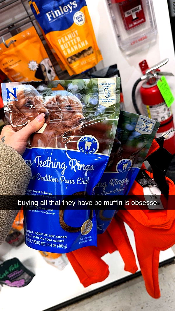 kaygcarlson image ~ Altpins