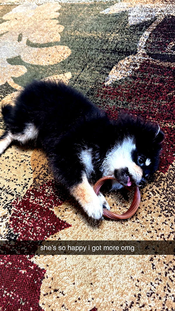 kaygcarlson image ~ Altpins