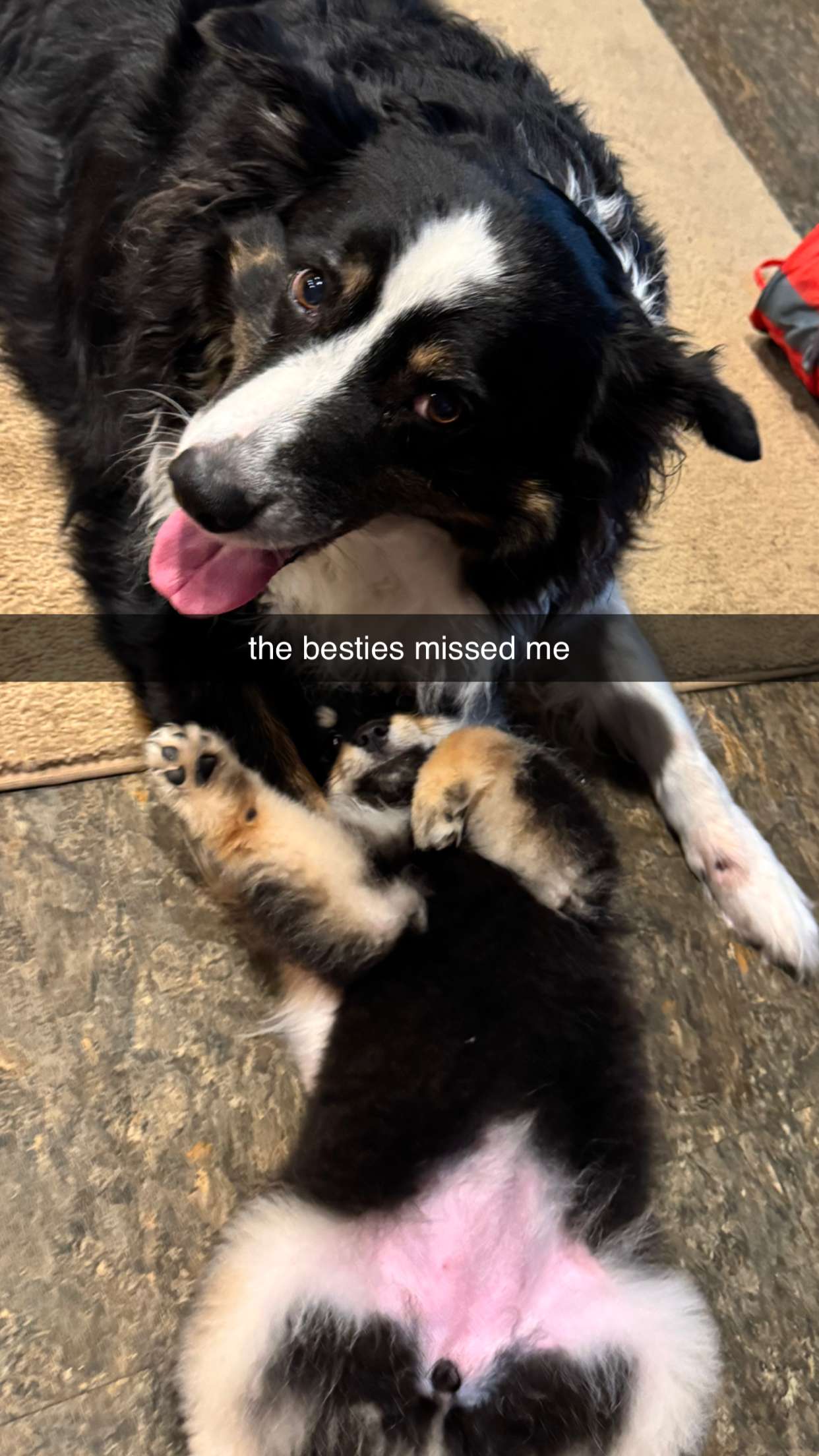 kaygcarlson snapchat image archive image