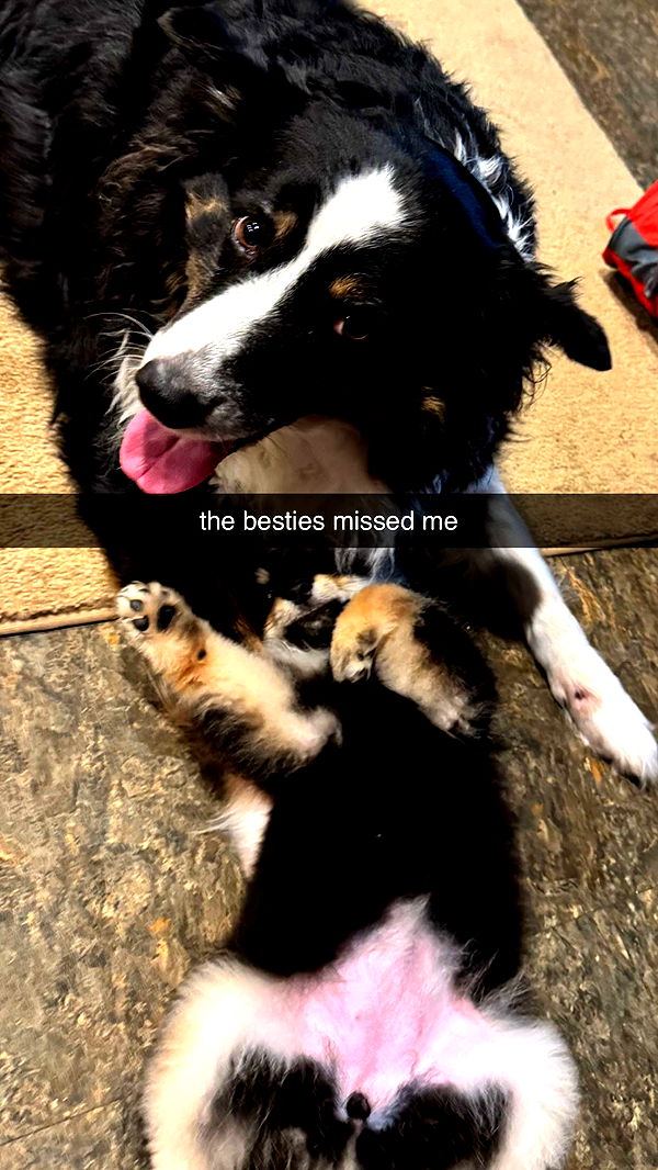 kaygcarlson image ~ Altpins