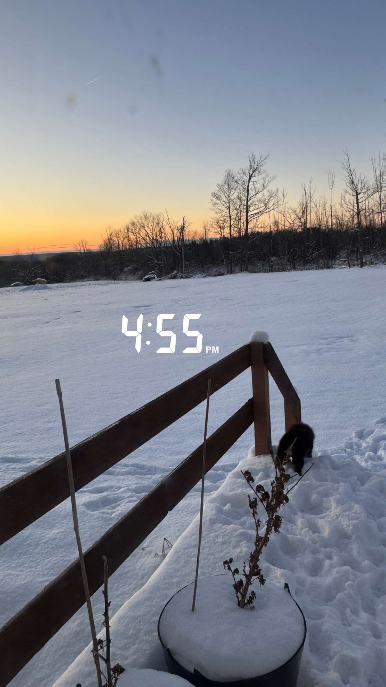 kaygcarlson snapchat image archive image