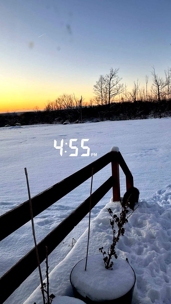 kaygcarlson image ~ Altpins