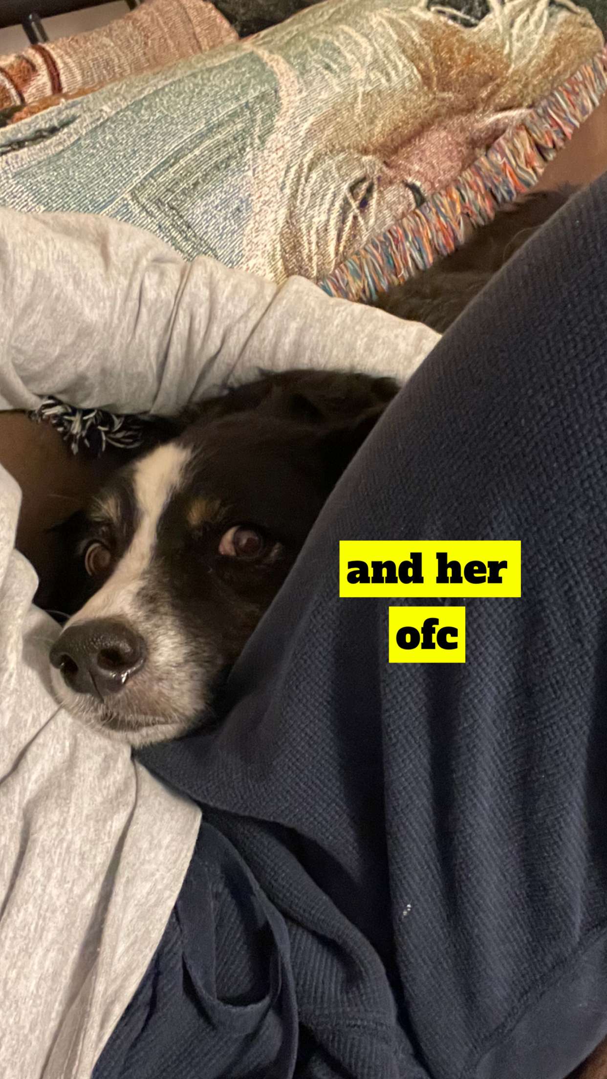 kaygcarlson snapchat image archive image