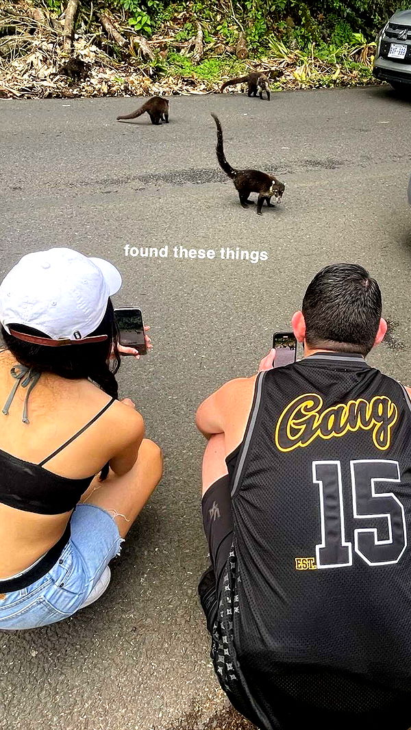 kaygcarlson image ~ Altpins