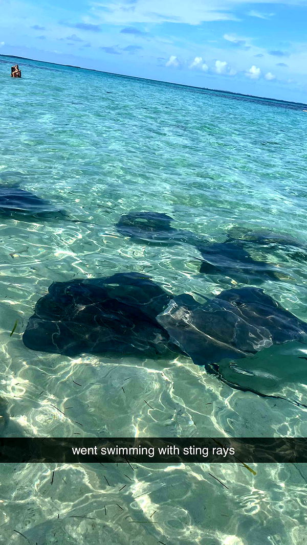 kaygcarlson image ~ Altpins