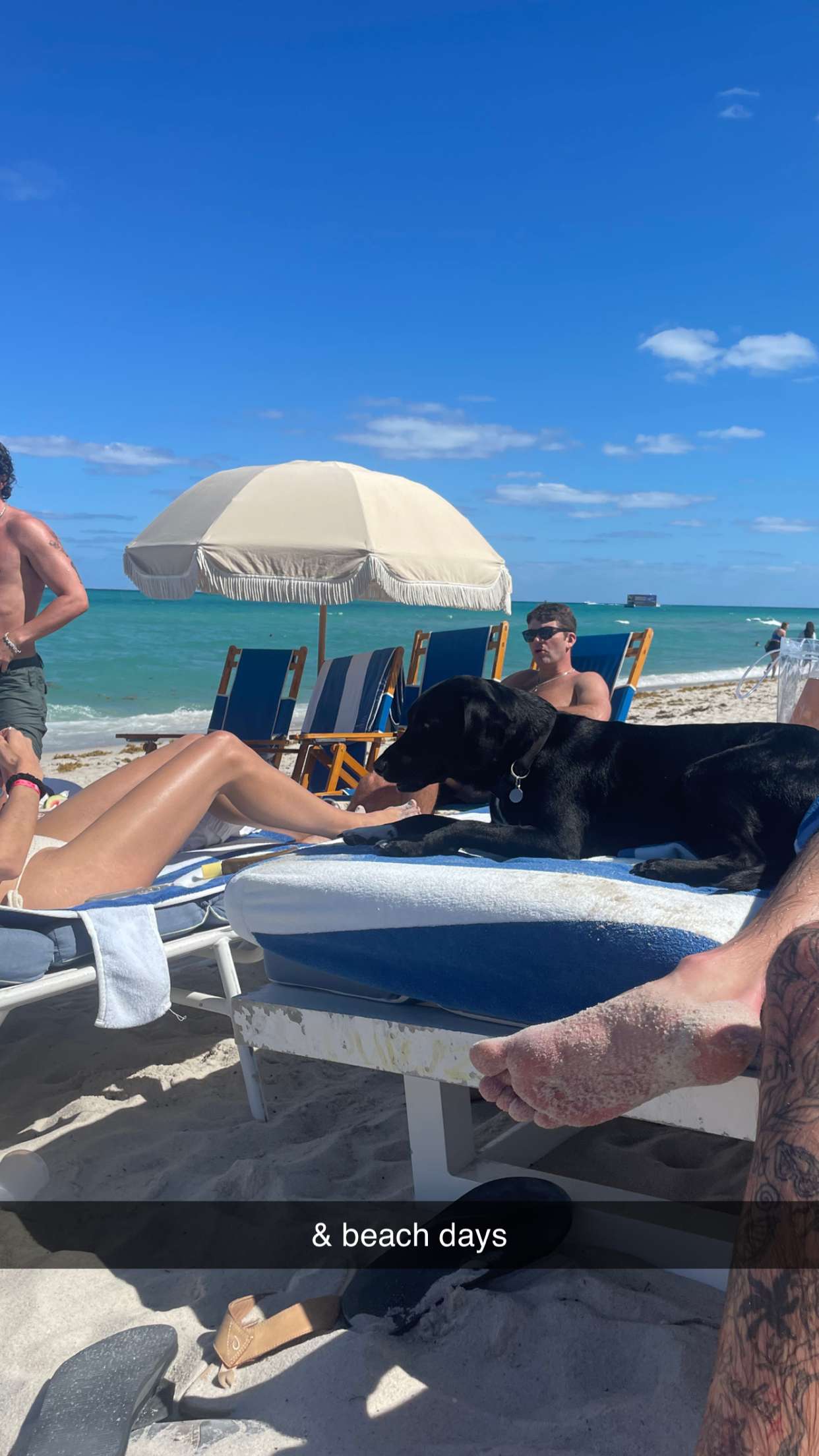 kaygcarlson snapchat image archive image