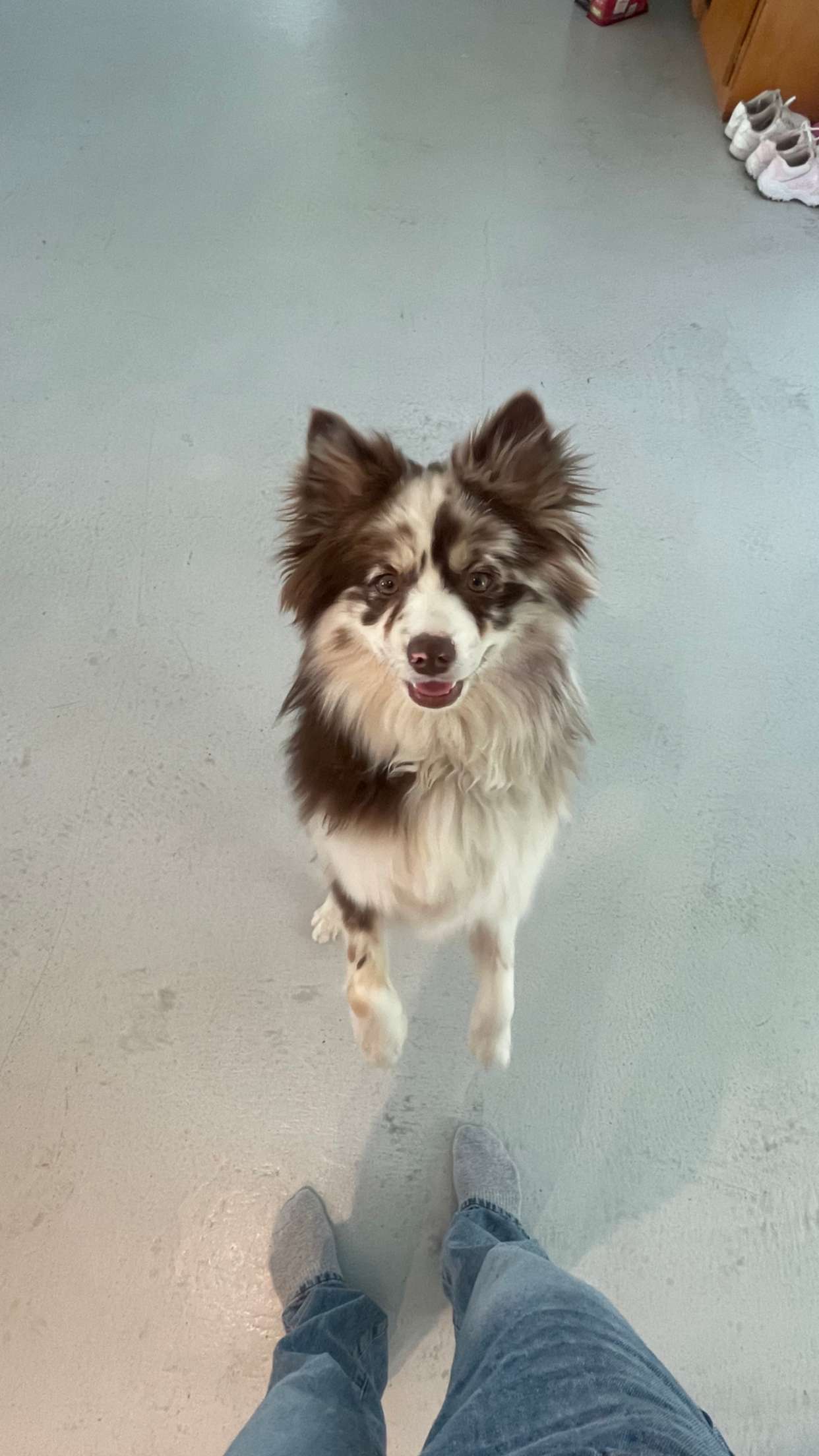 kaygcarlson snapchat image archive image