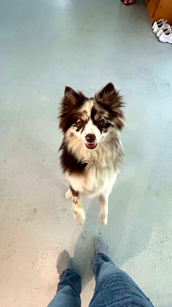 kaygcarlson image ~ Altpins