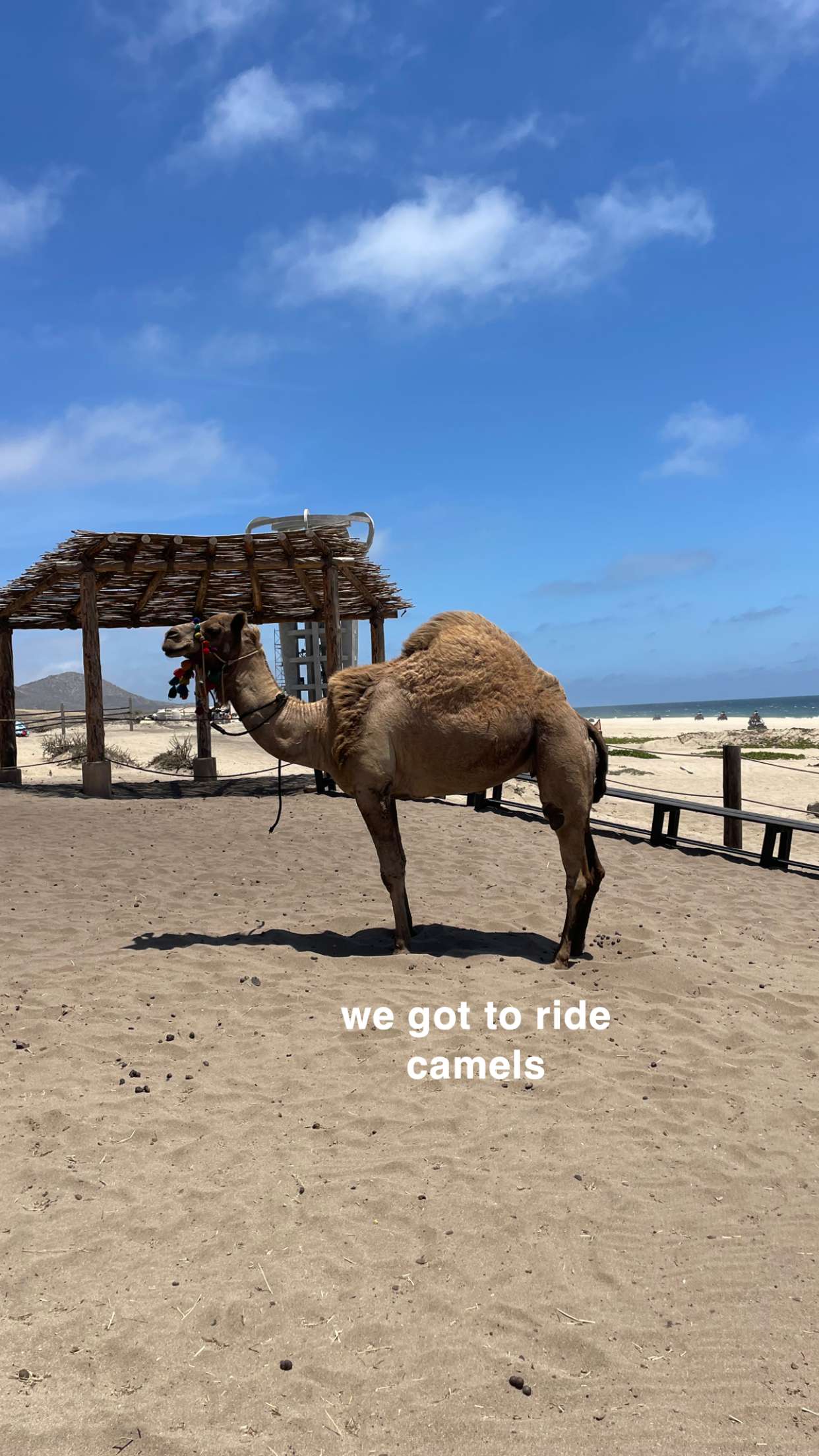 kaygcarlson snapchat image archive image