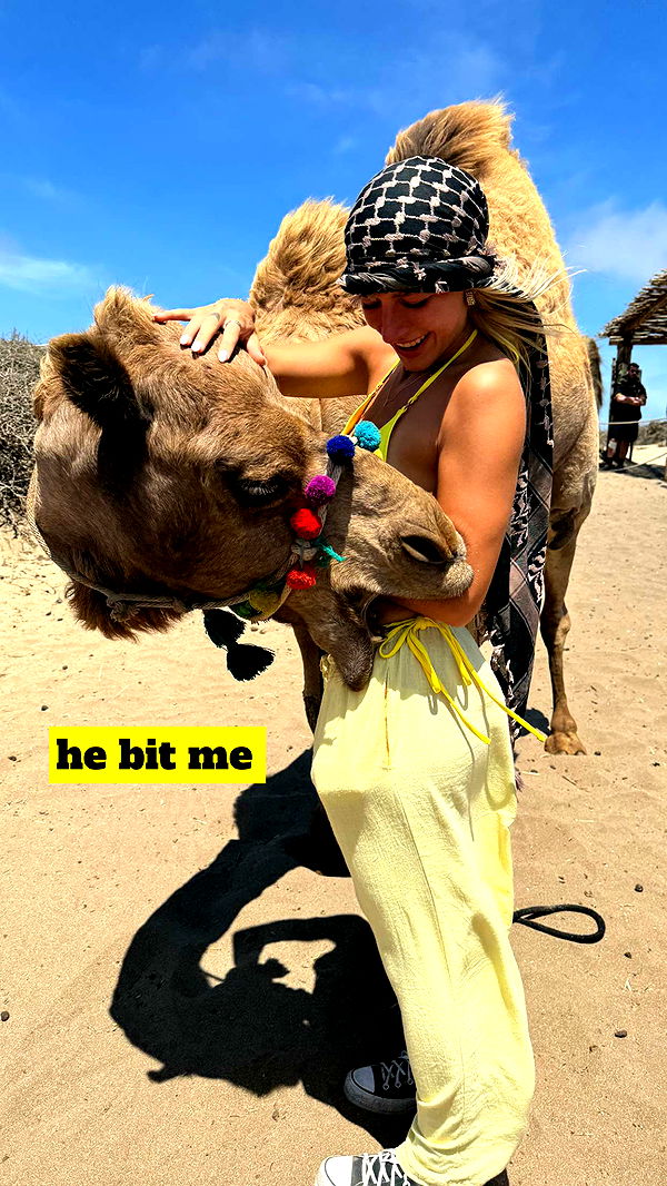 kaygcarlson image ~ Altpins