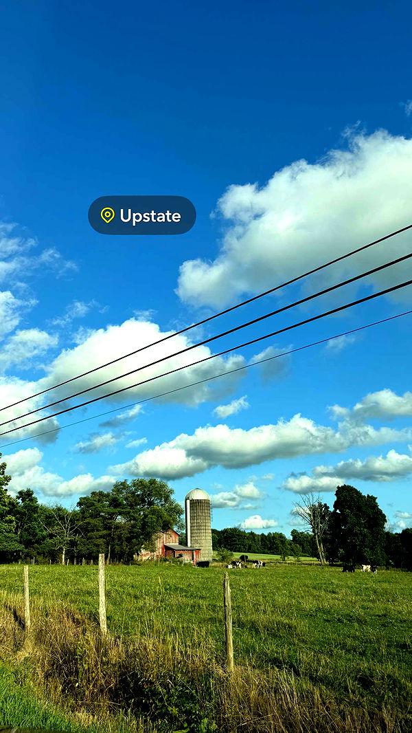 kaygcarlson image ~ Altpins