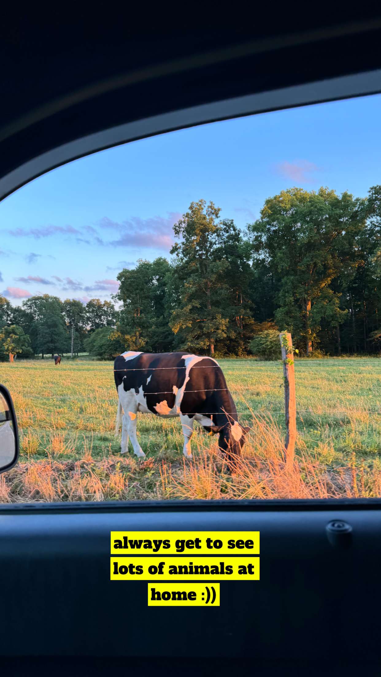 kaygcarlson snapchat image archive image