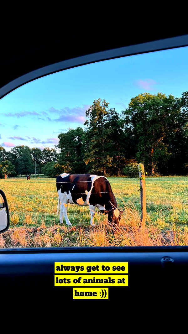 kaygcarlson image ~ Altpins