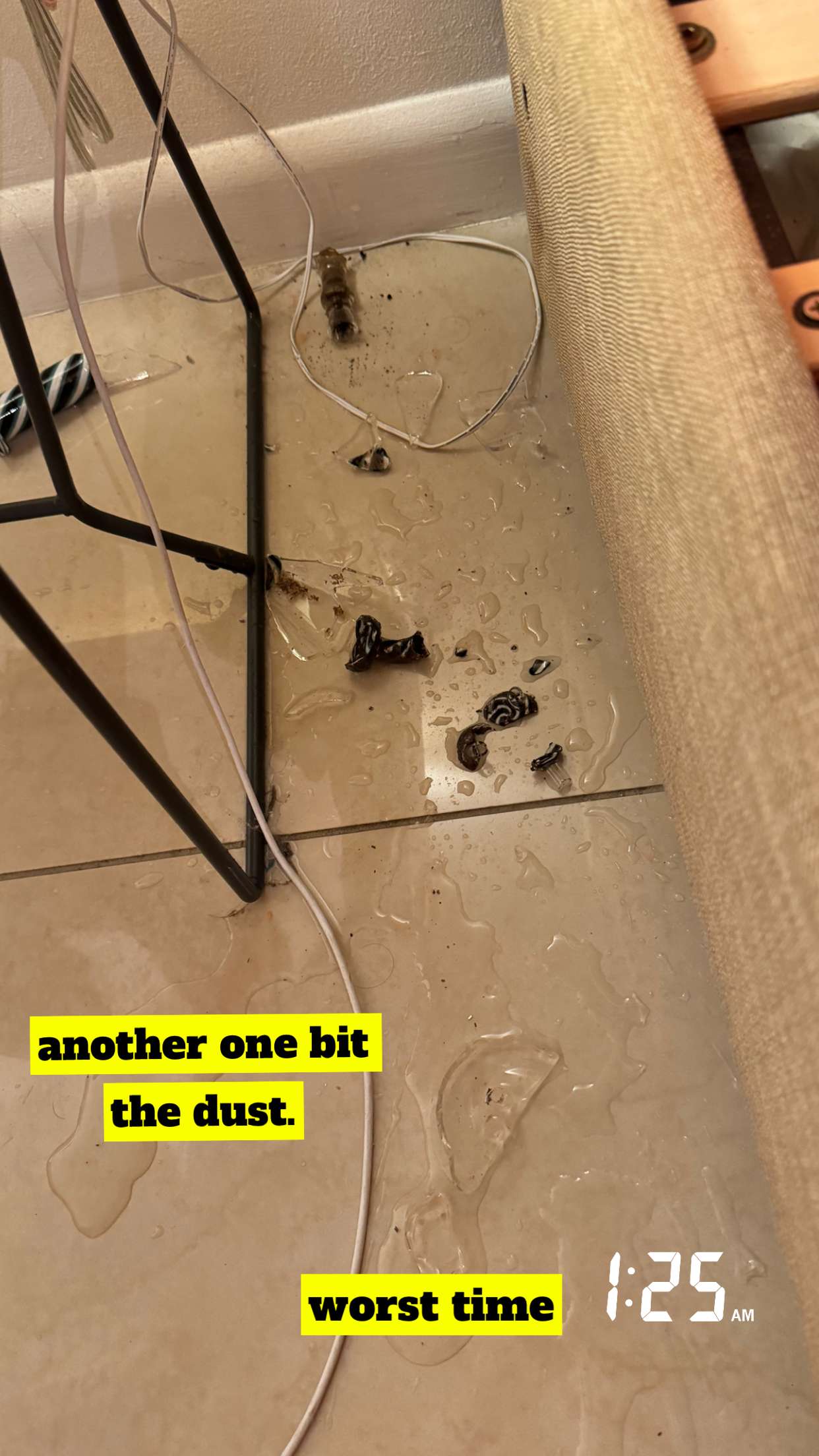 kaygcarlson snapchat image archive image