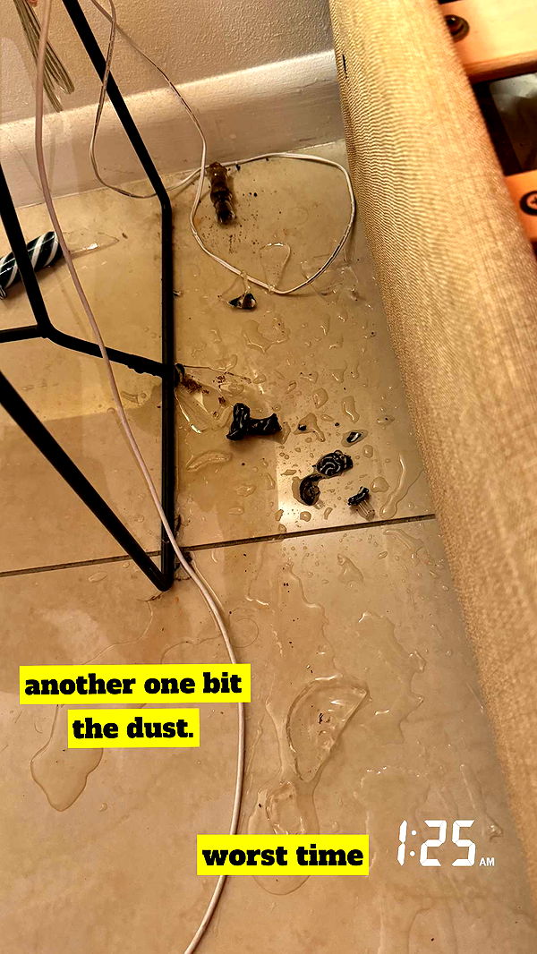 kaygcarlson image ~ Altpins