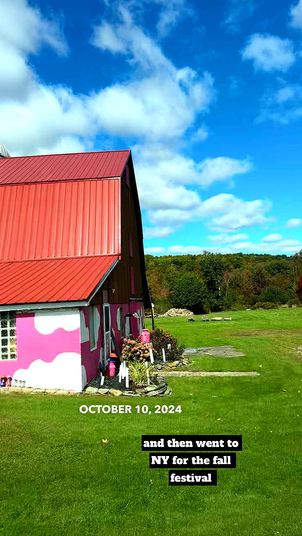 kaygcarlson image ~ Altpins