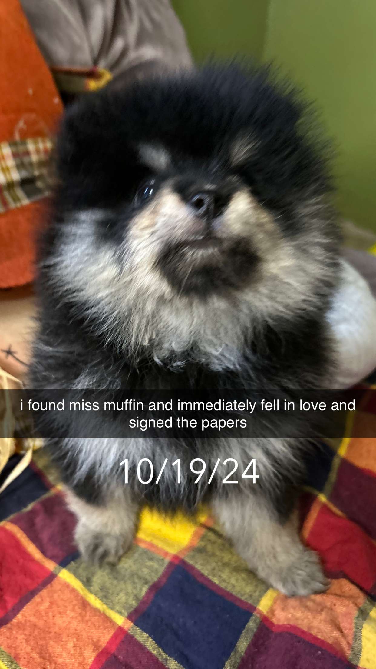 kaygcarlson snapchat image archive image