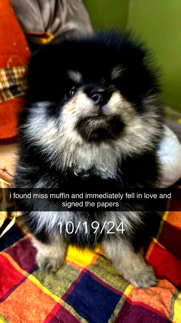 kaygcarlson image ~ Altpins