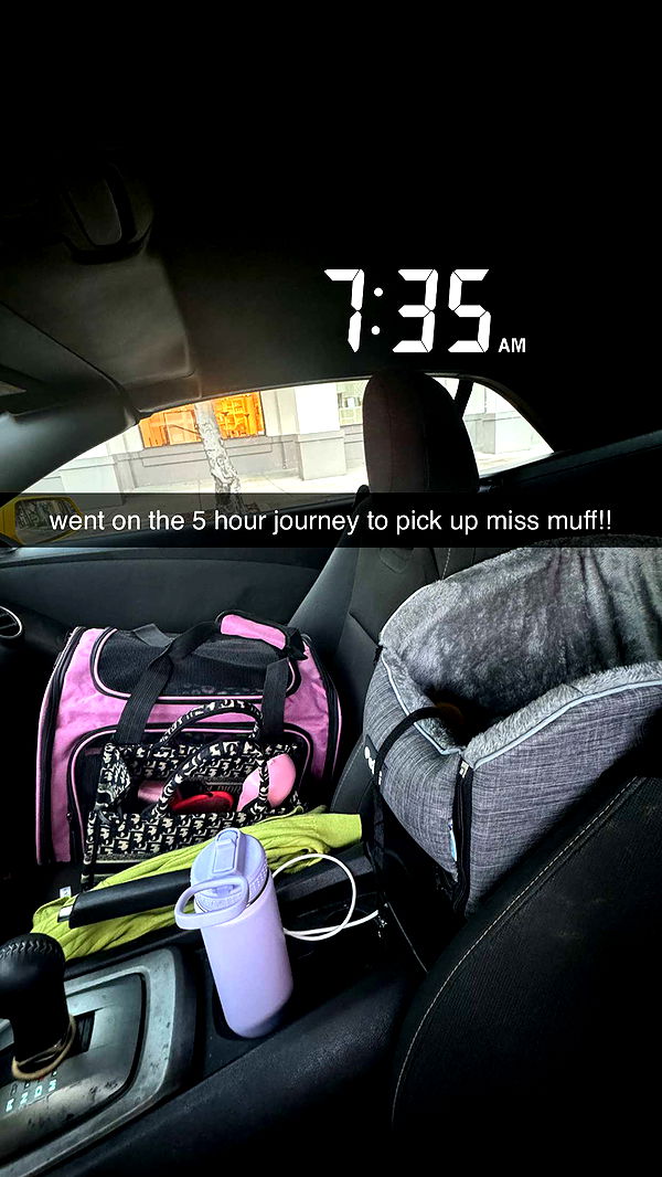 kaygcarlson image ~ Altpins