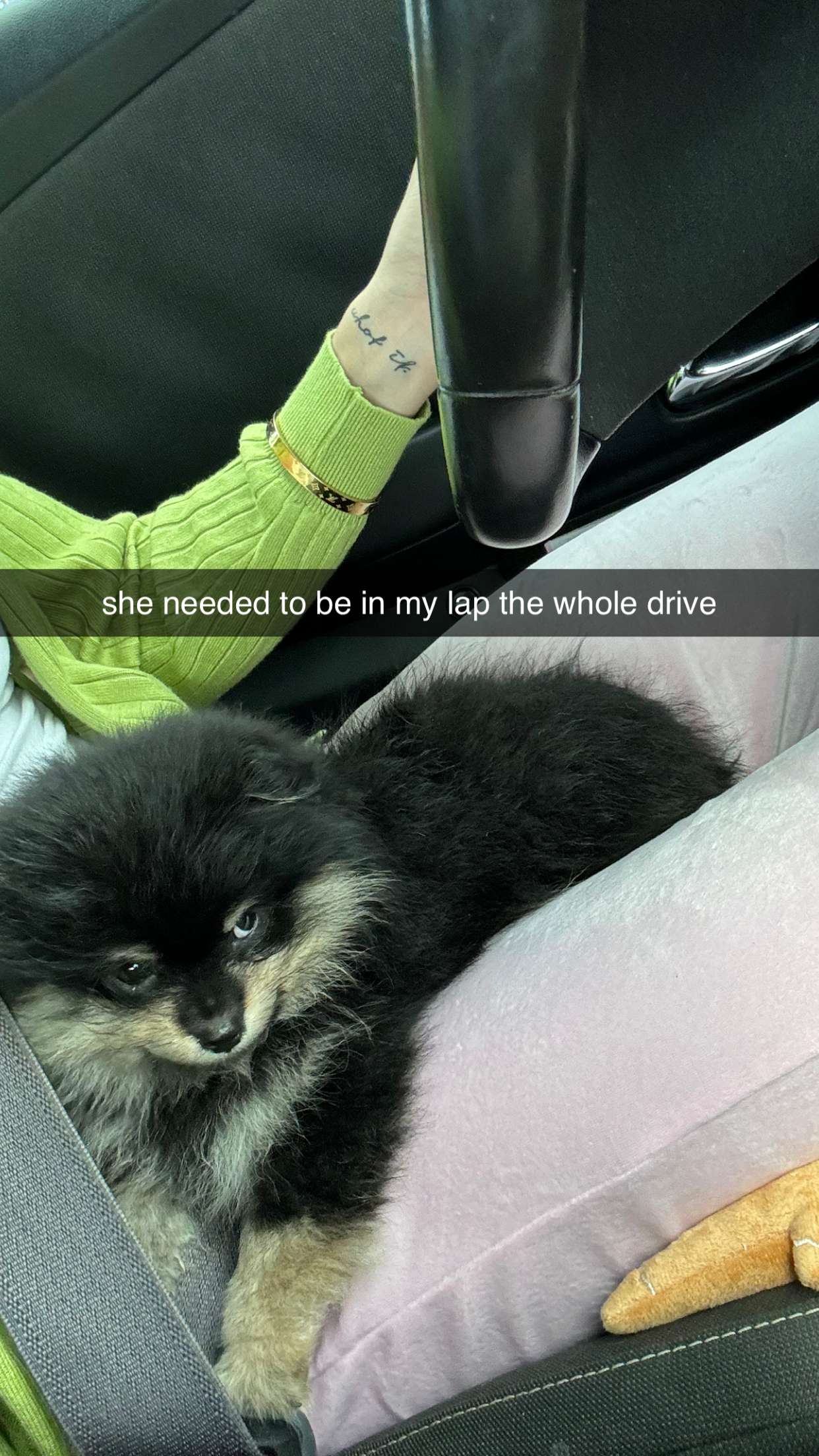 kaygcarlson snapchat image archive image