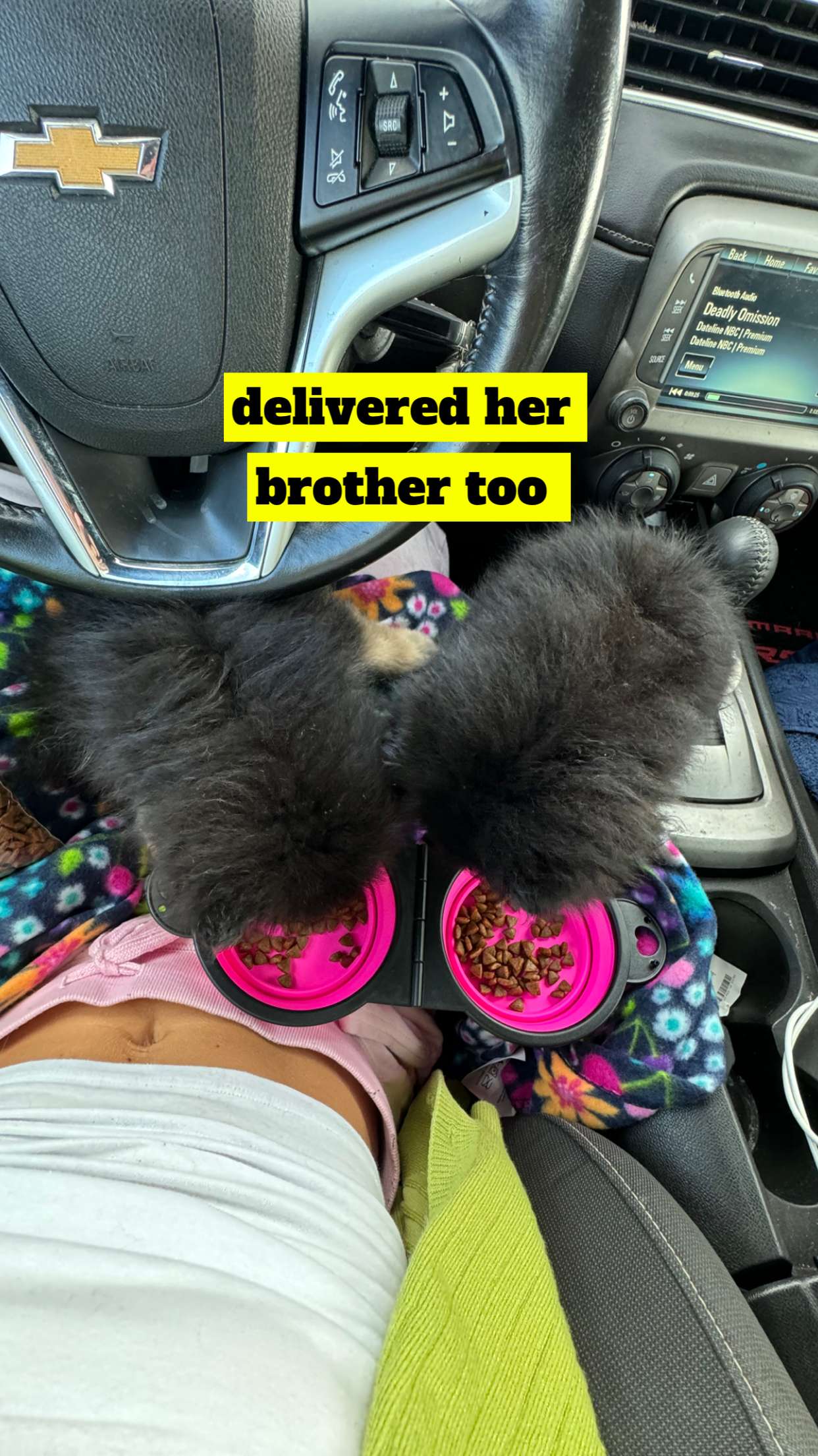 kaygcarlson snapchat image archive image