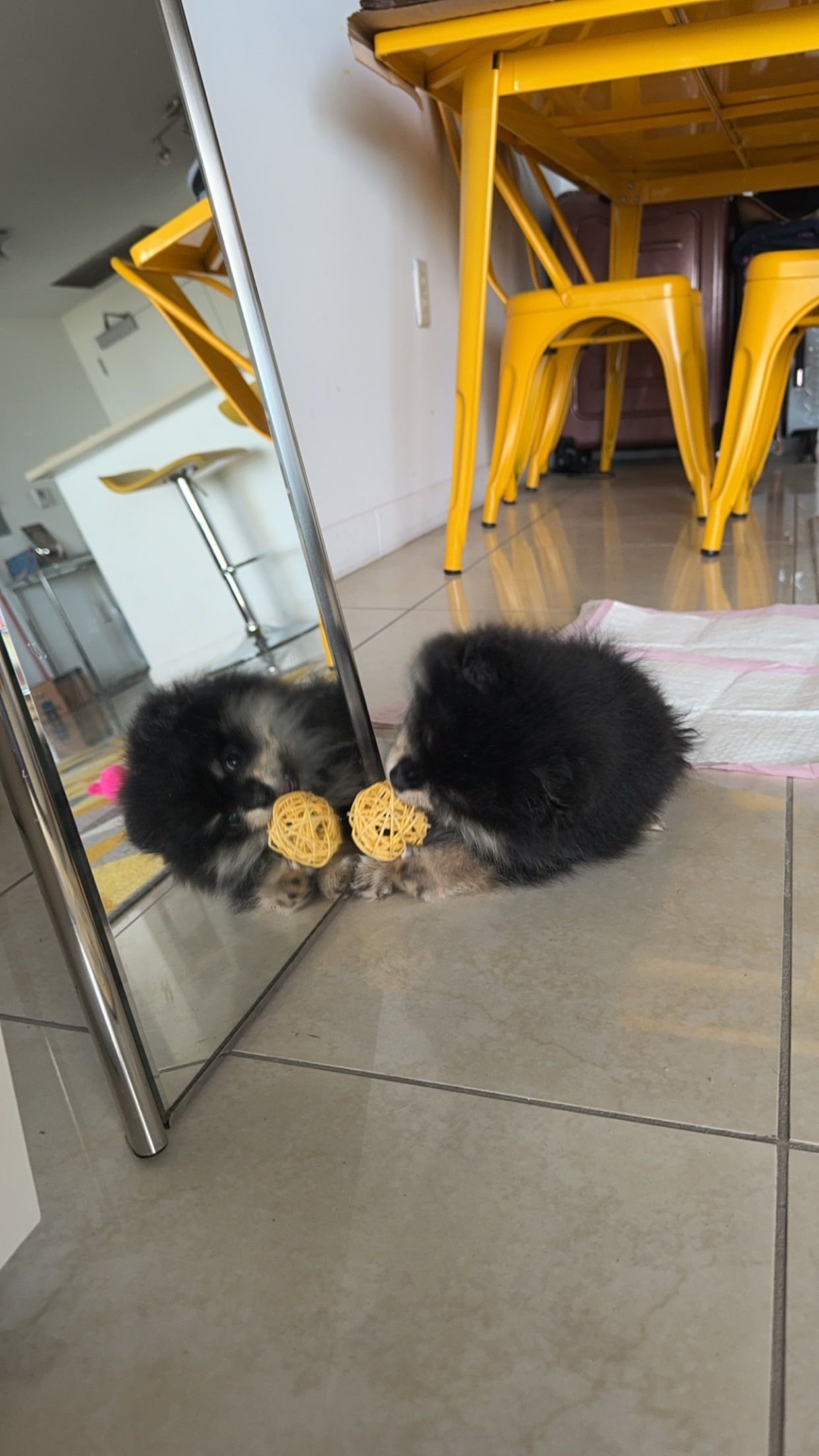 kaygcarlson snapchat image archive image