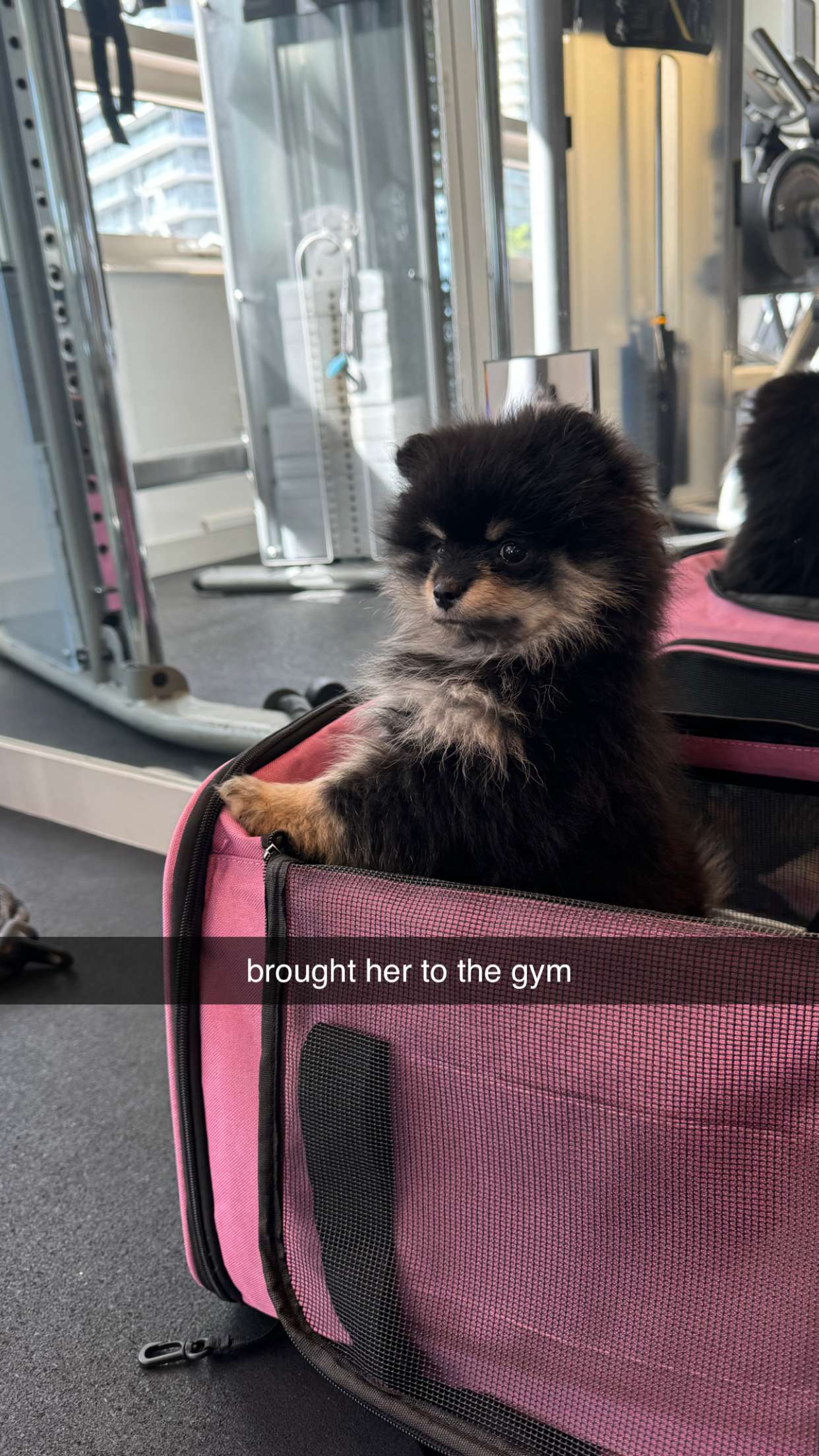 kaygcarlson snapchat image archive image