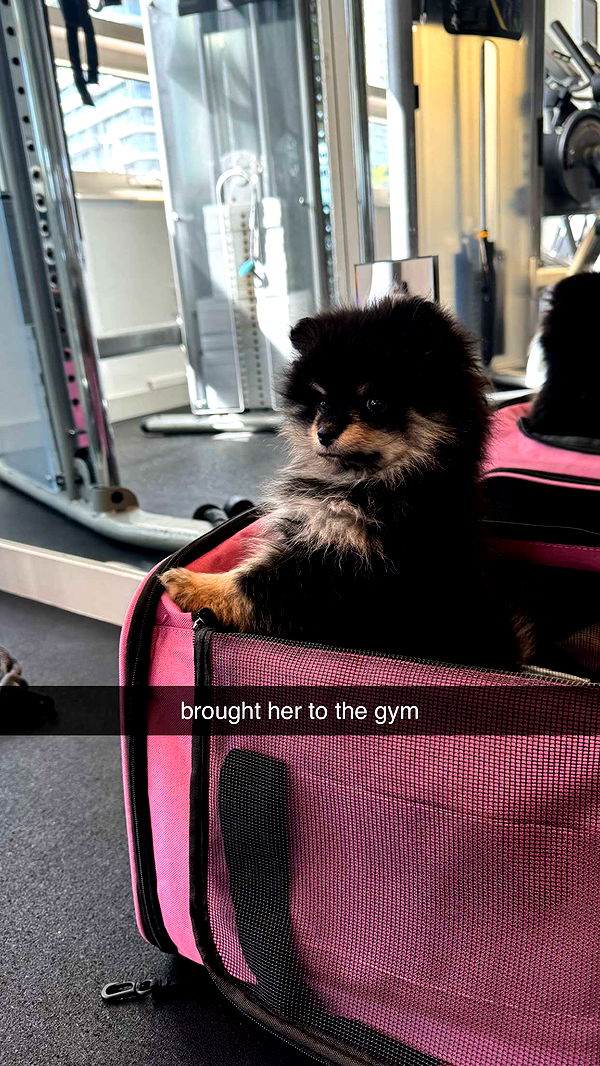 kaygcarlson image ~ Altpins