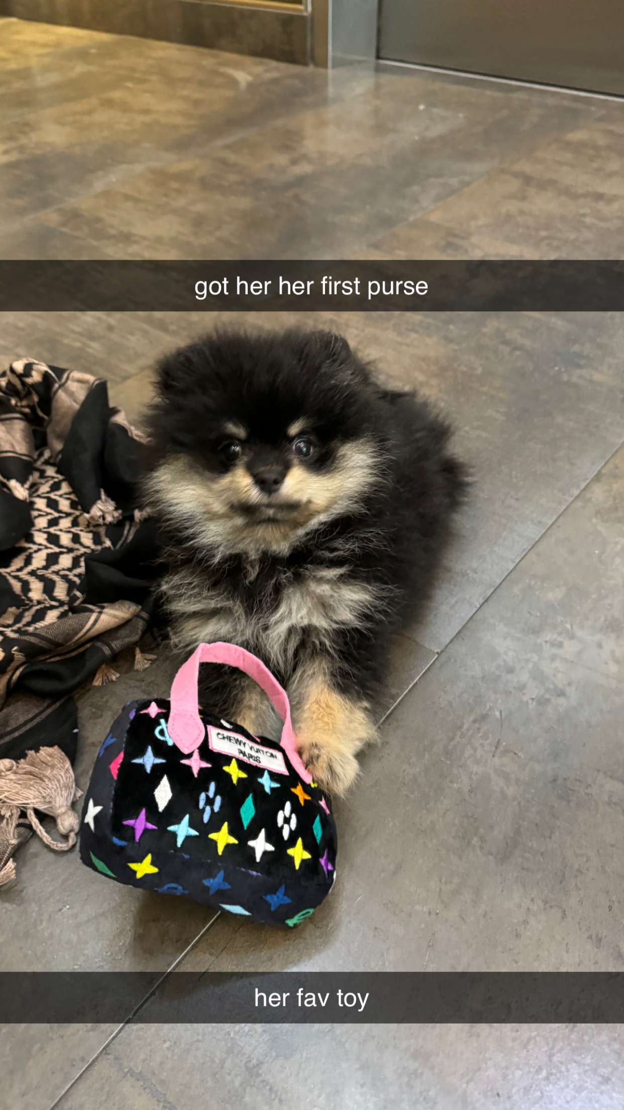 kaygcarlson snapchat image archive image